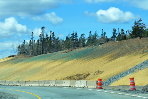 Hydroseeding Service