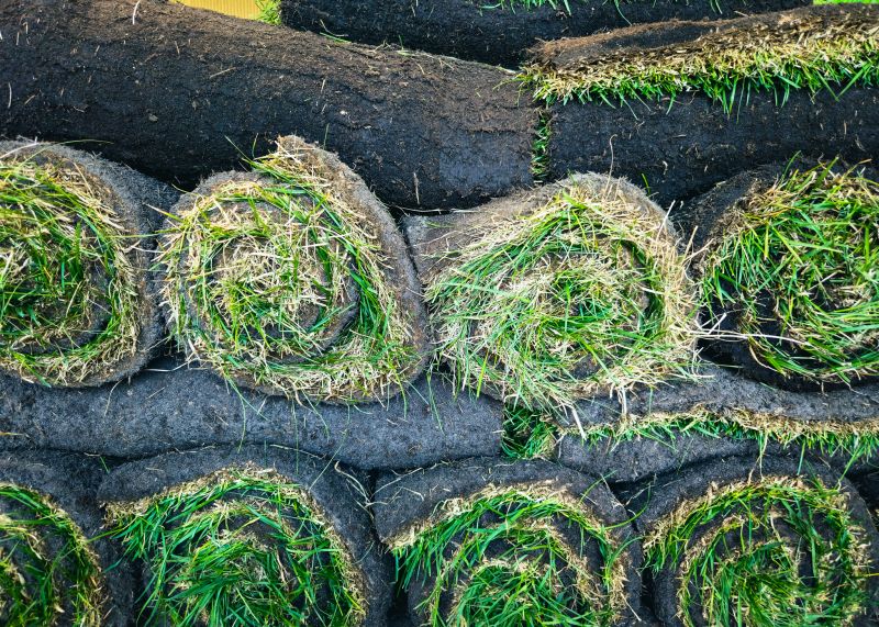 Commercial Sod Installation in Honolulu, HI