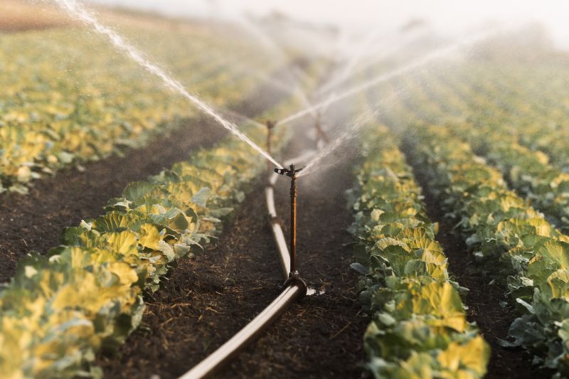 Watering Systems