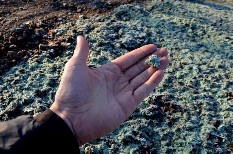 Budget-Smart Upgrades